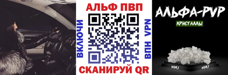 APVP СК Новозыбков