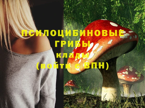 винт Коряжма