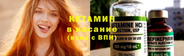 крисы Корсаков