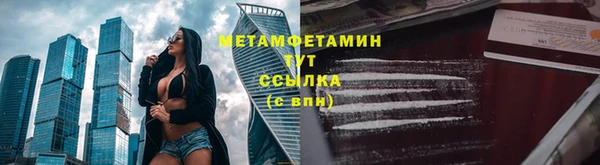 крисы Корсаков