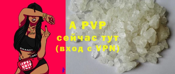 крисы Корсаков