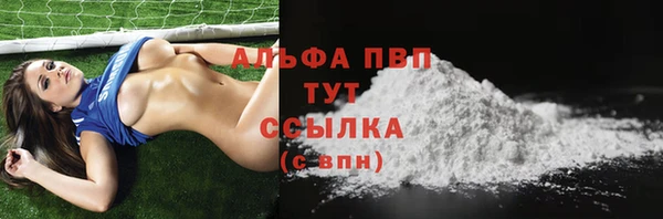 винт Коряжма