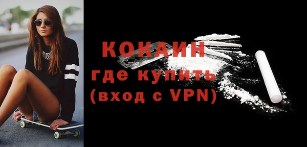 крисы Корсаков