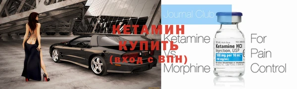 крисы Корсаков