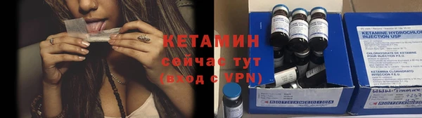 крисы Корсаков
