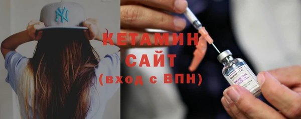 крисы Корсаков