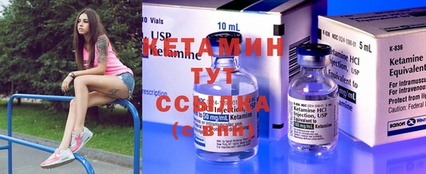 крисы Корсаков