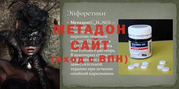 крисы Корсаков
