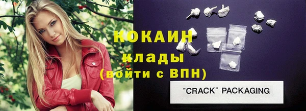крисы Корсаков