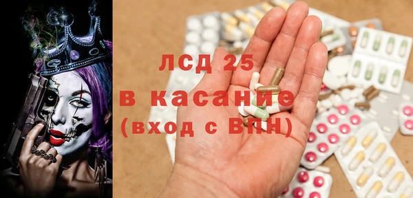 крисы Корсаков