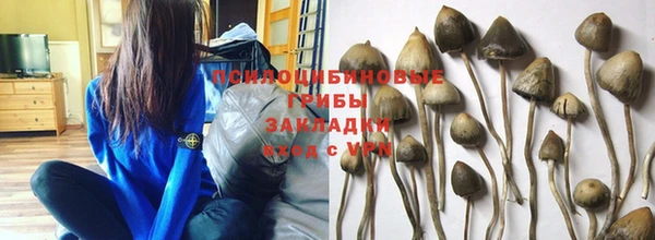бутират Костерёво